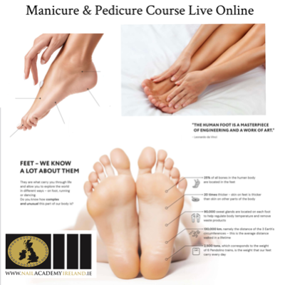 ABT Accredited Manicure and Pedicure Course : May 31 Friday evening 7pm until 9pm live online